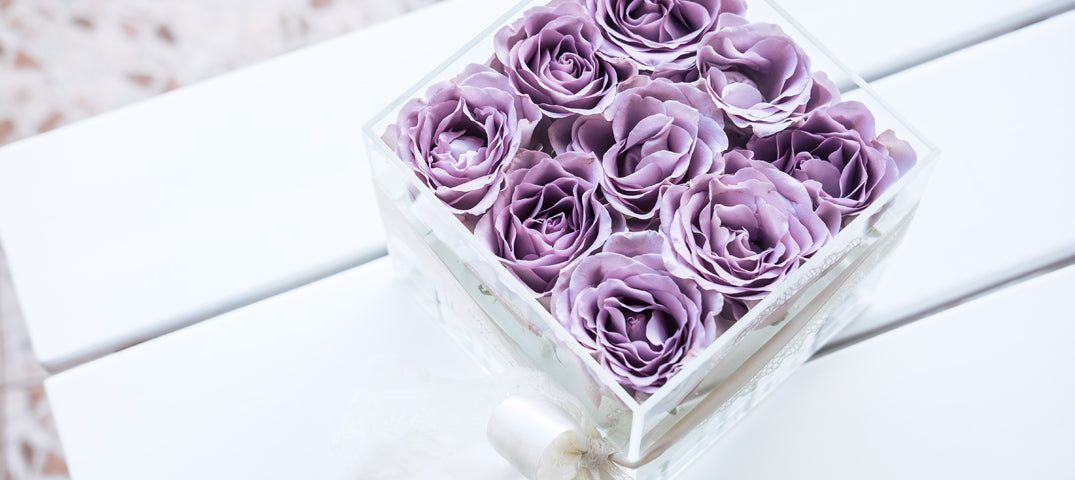 A Guide to Preserved Flowers   Six Things You Need to Know