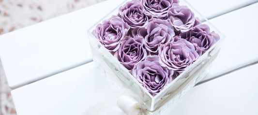 A Guide to Preserved Flowers   Six Things You Need to Know