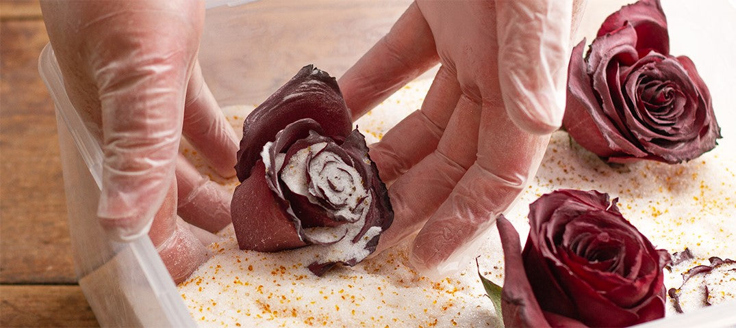 A Guide On How To Use Our Eco-Friendly Koch & Co Silica Gel