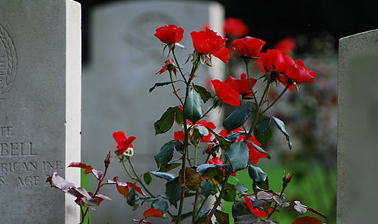 Tips for Selecting Sympathy Flowers