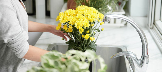 Guide to Flower Food Dosing for Fresh Cut Flowers