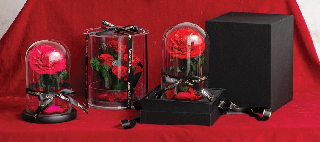 Tips for Maintaining Our Preserved Roses & Flowers