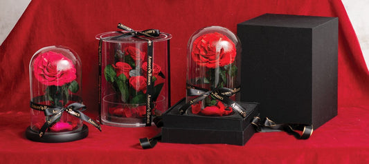 Tips for Maintaining Our Preserved Roses & Flowers