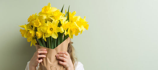 A Guide to Caring for Daffodils