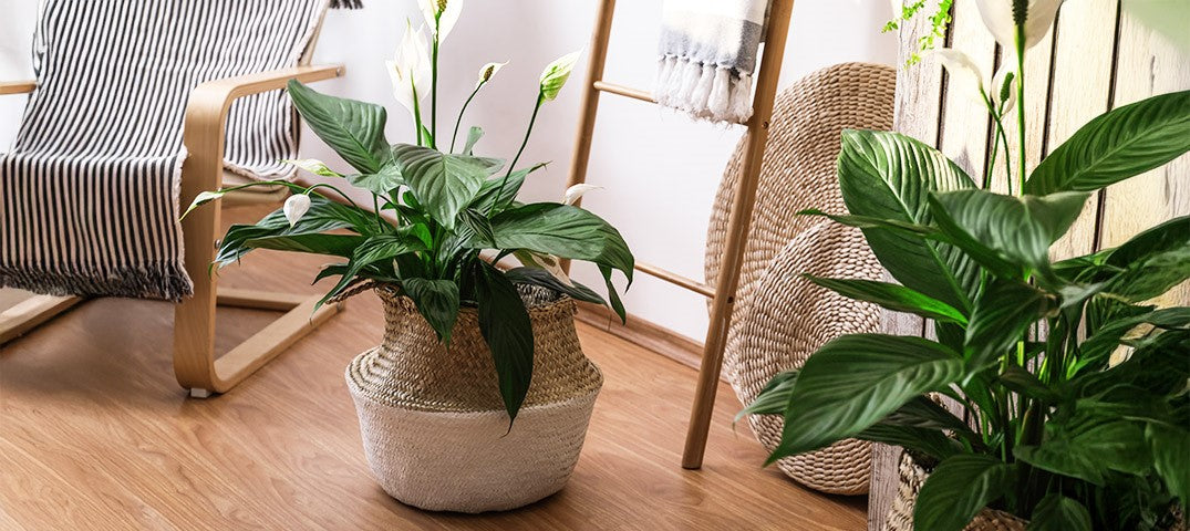 The Ultimate Guide to Decorating with Artificial Plants