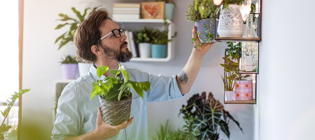 Top 5 Benefits of Fake Plants