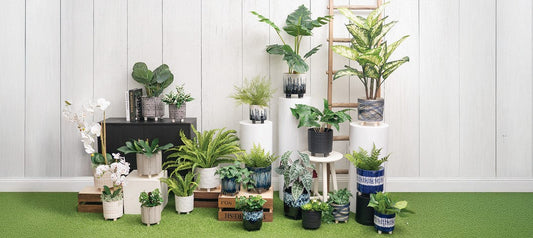 Why Trade Buyers Choose Ceramique Ceramics™ for Everyday Styling