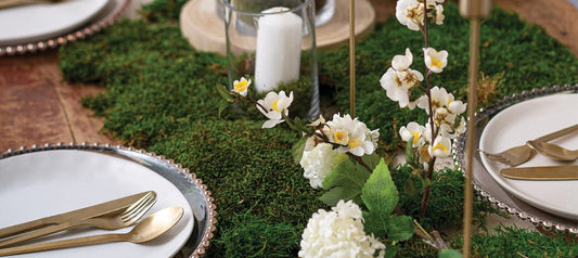 How to Store Preserved Moss for Long-Lasting Beauty