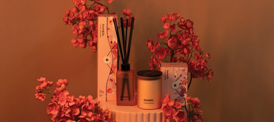 How to Care for Your Reed Diffuser: Tips to Maximise Scent and Longevity