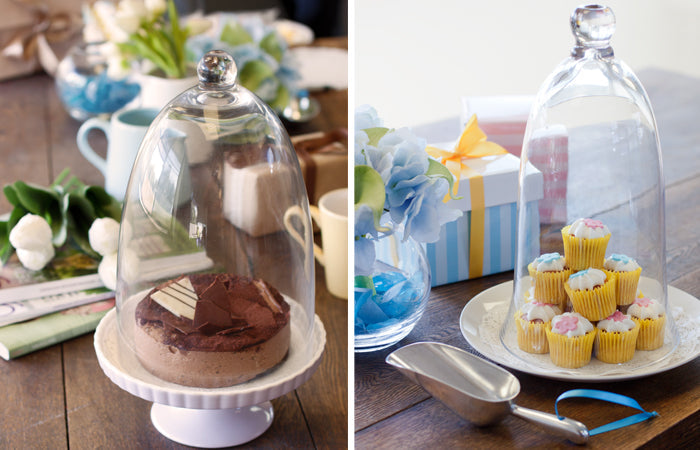 Create a Decorative Display with Glass Cloches