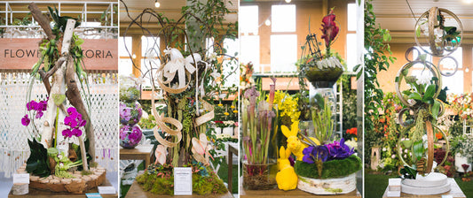 Floral Vision 360° Winners: 2015 Melbourne International Flower and Garden Show