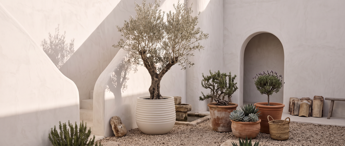 Lightweight vs Concrete & Terracotta Planters: Which Is Right for You?