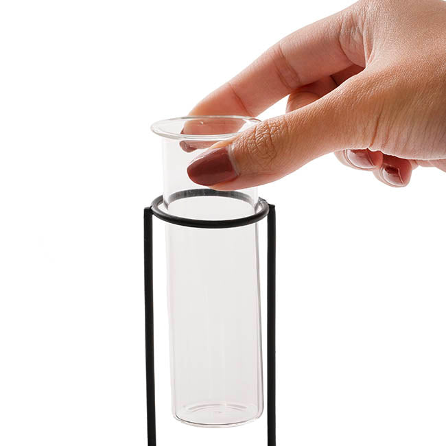 Glass Two Tube Vase Metal Frame Black Large (15.6Dx17.5cmH)