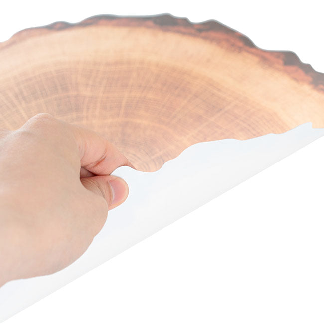 Wooden Timber Look Table Placemat Set 2 Round Brown (38cmD)