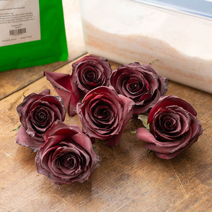 Silica Gel Flower Drying Preserving Crystals 1kg