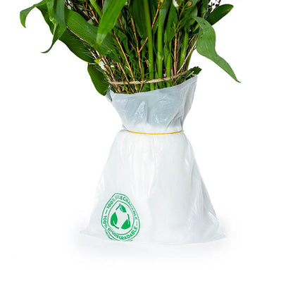 Get it Fresh Bio Flower Transport Bag Pack 250 (20x17cm)