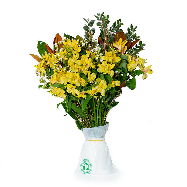 Get it Fresh Bio Flower Transport Bag Pack 50 (20x17cm)
