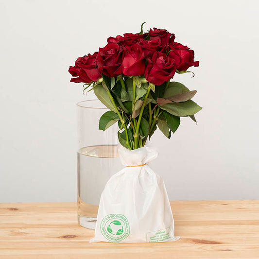 Get it Fresh Bio Flower Transport Bag Large PK 32 (25x24cm)