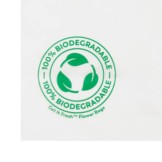 Biodegradable Produce Bag 2L Pack of 32 (18x23cmH)