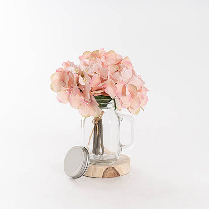 Glass Mason Jar Large with Handle and Lid Clear (13Dx15cmH)