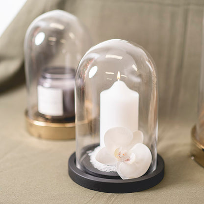 Glass Cloche Dome Terrarium Black With Base (17.5Dx25cmH)