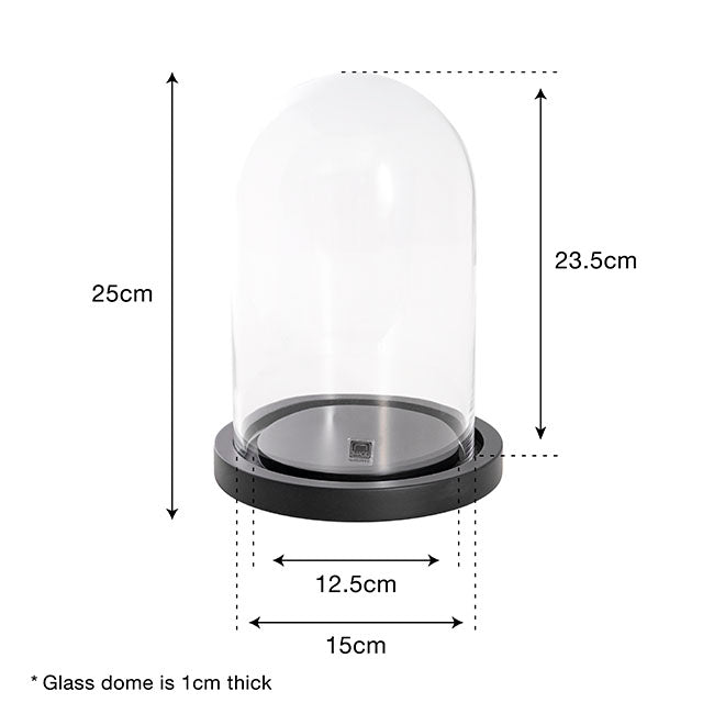 Glass Cloche Dome Terrarium Black With Base (17.5Dx25cmH)