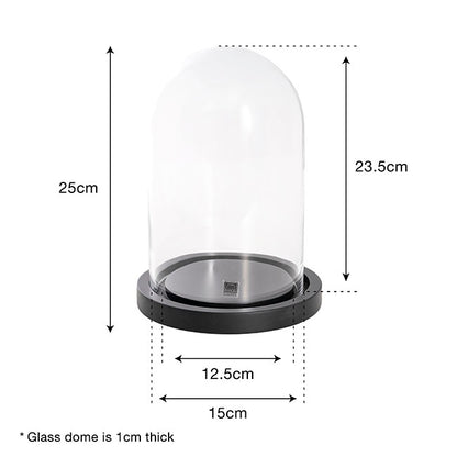 Glass Cloche Dome Terrarium Black With Base (17.5Dx25cmH)