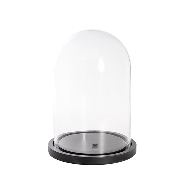 Glass Cloche Dome Terrarium Black MDF Base (23.5Dx30cmH)