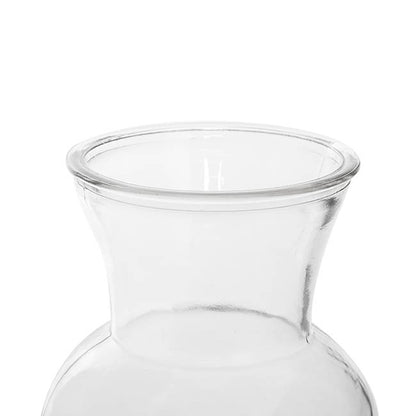 Glass Ginger Lily Vase Clear (13DX22cmH)
