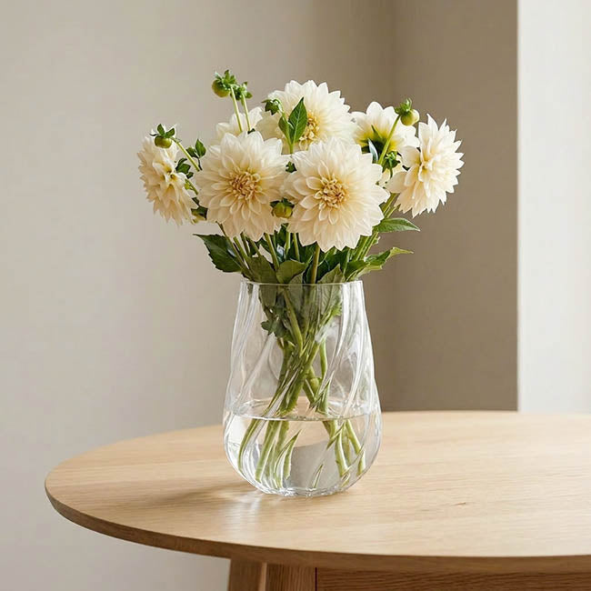 Glass Swirl Belly Vase Clear (12TDx15.8Dx25cmH)