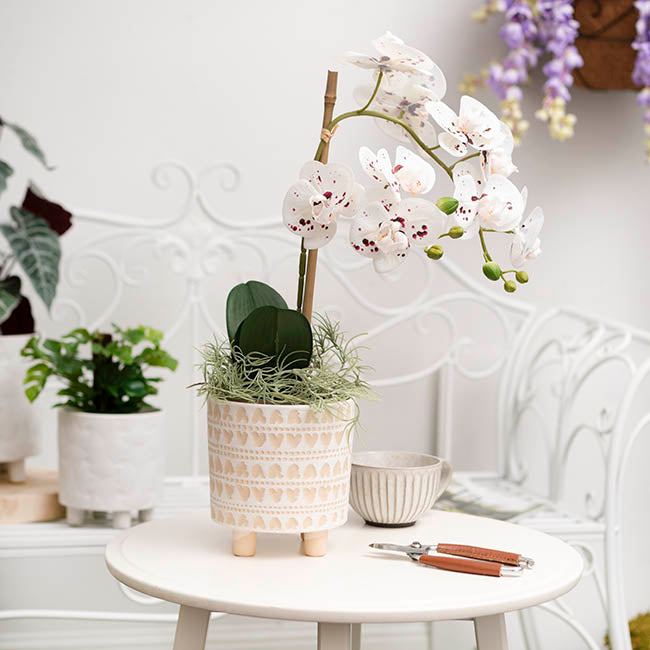 Home Accents Plant Pot Cream Patterned Set 2 (20.5Dx20.5cmH)