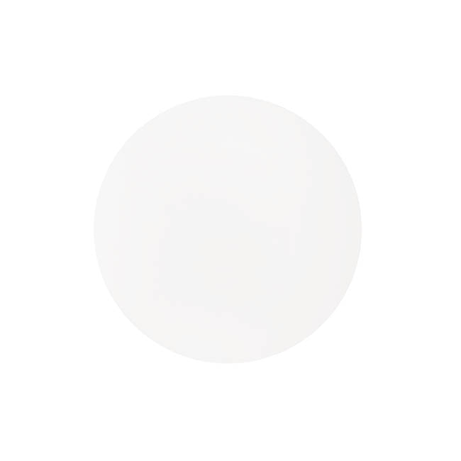 Clear Acrylic Plates Pack 2 (30cmDx0.03cmH)