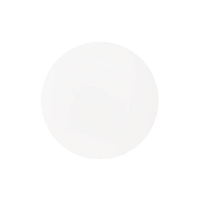 Clear Acrylic Plates Pack 2 (30cmDx0.03cmH)