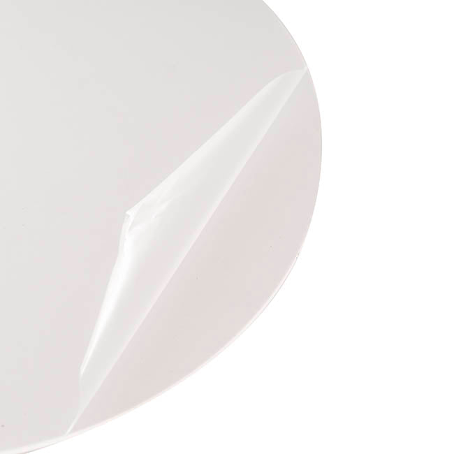 Clear Acrylic Plates Pack 2 (30cmDx0.03cmH)