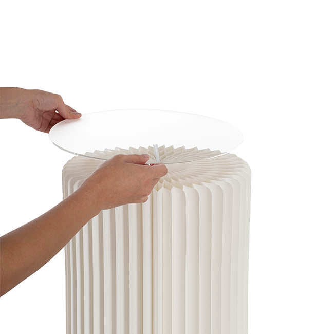 Clear Acrylic Plates Pack 2 (30cmDx0.03cmH)