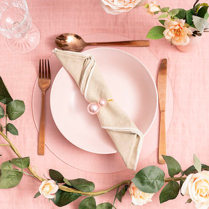 Frosted Acrylic Plates Pack 2 Clear (30cmDx0.03cmH)