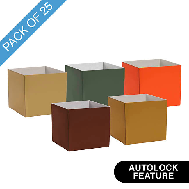 Mini Posy Box Collection Tuscan Harvest Pack 25 (13x12cmH)