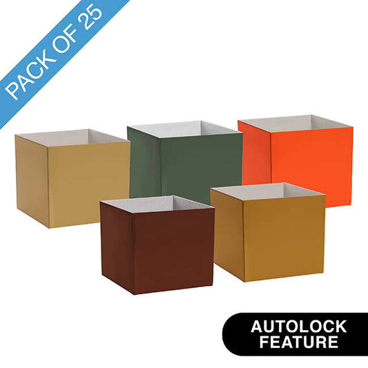 Mini Posy Box Collection Tuscan Harvest Pack 25 (13x12cmH)