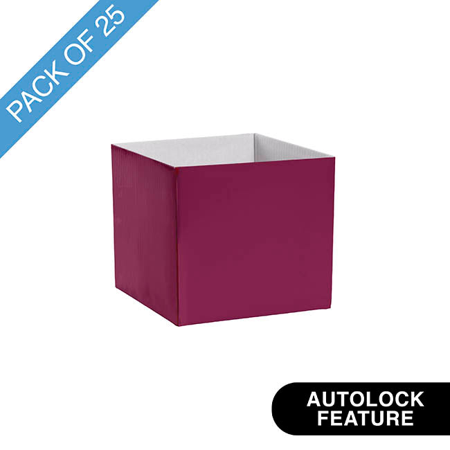 Mini Posy Box Gloss Autolock Base Pk25 Sugar Plum (13x12cmH)