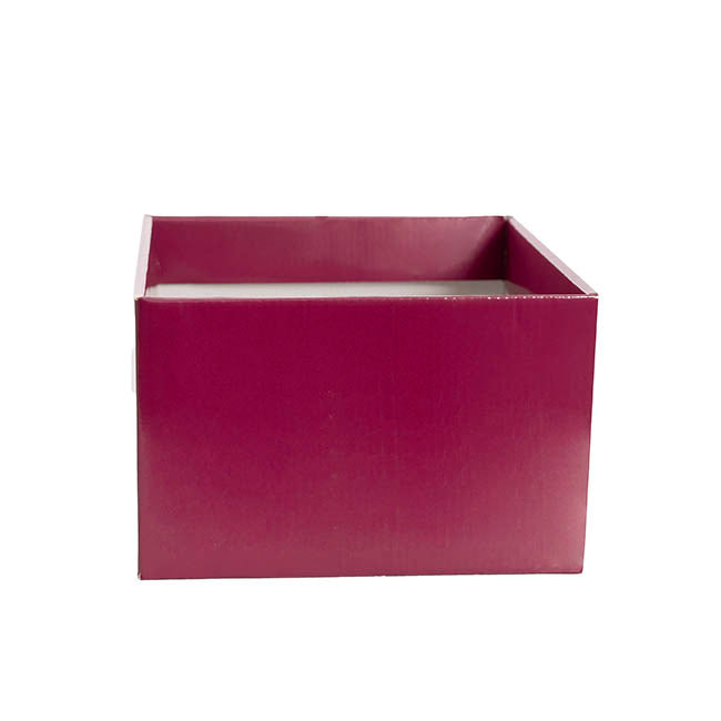 Large Posy Box Autolock Base Pack 10 Sugar Plum (22x14cmH)