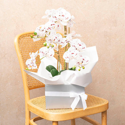 Large Posy Box Autolock Base Pack 10 Silver (22x14cmH)