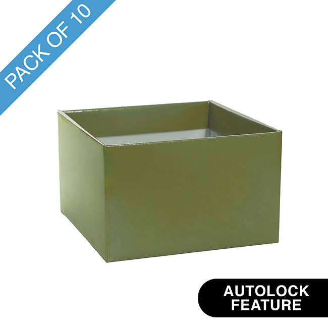 Medium No.6 Posy Box Autolock Base Pk10 Moss (16x12cmH)