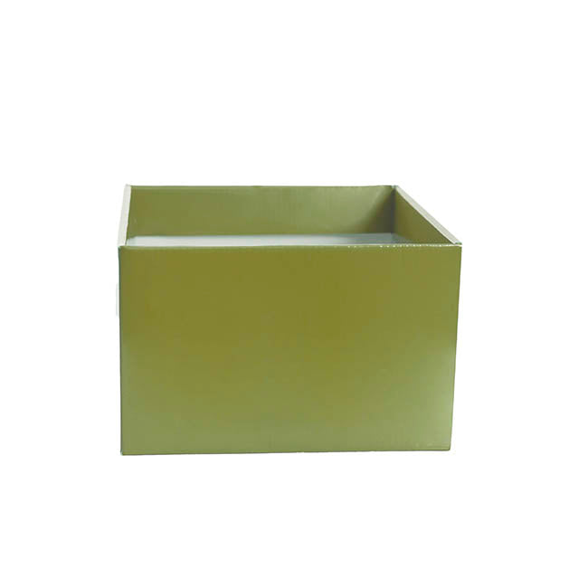 Medium No.6 Posy Box Autolock Base Pk10 Moss (16x12cmH)