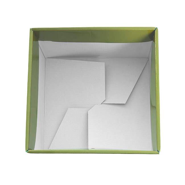 Medium No.6 Posy Box Autolock Base Pk10 Moss (16x12cmH)