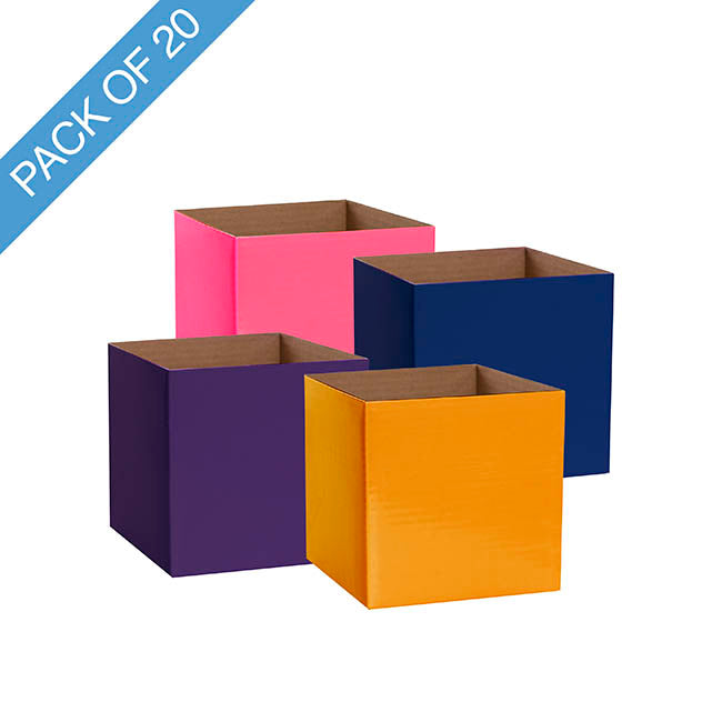 Posy Box Petite Assorted Pizazz Pack 20 (10x10x10cmH)