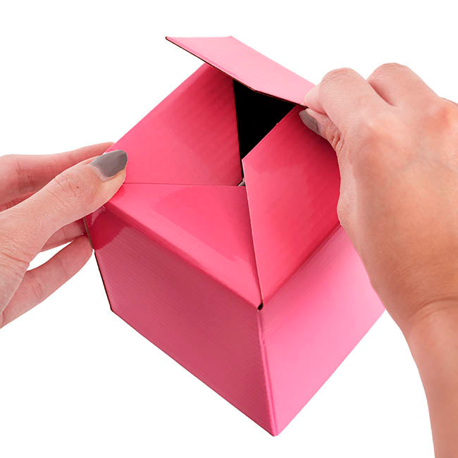 Posy Box Petite Assorted Pizazz Pack 20 (10x10x10cmH)