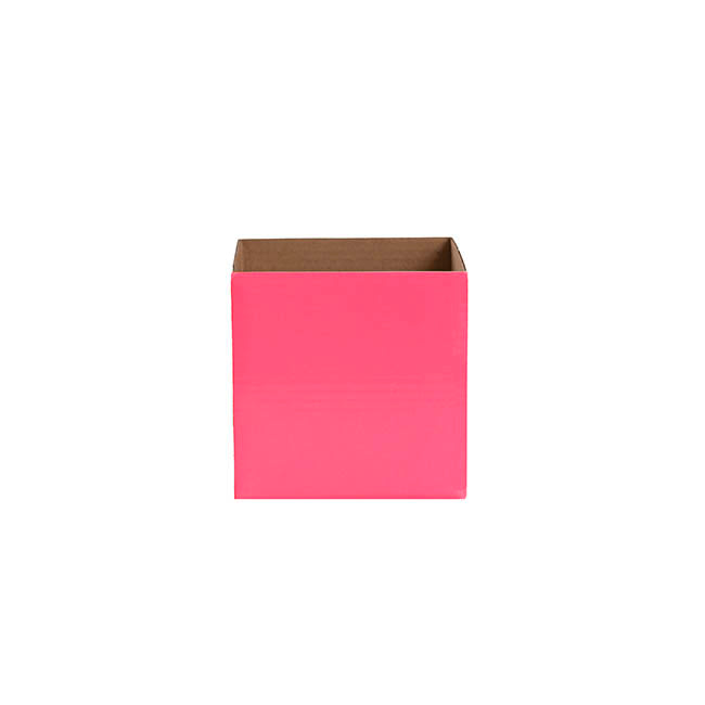 Posy Box Petite Assorted Pizazz Pack 20 (10x10x10cmH)