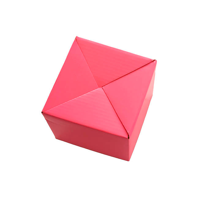 Posy Box Petite Assorted Pizazz Pack 20 (10x10x10cmH)