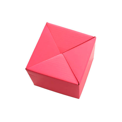 Posy Box Petite Assorted Pizazz Pack 20 (10x10x10cmH)