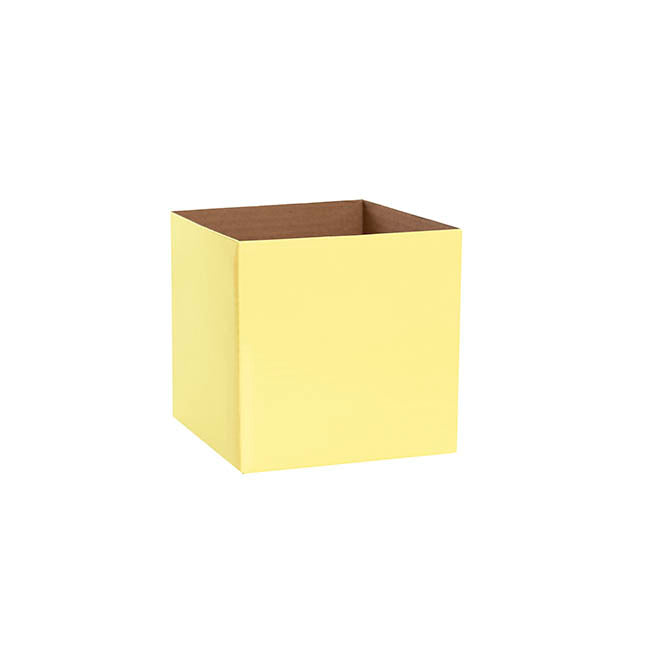 Posy Box Petite Assorted Mellows Pack 20 (10x10x10cmH)